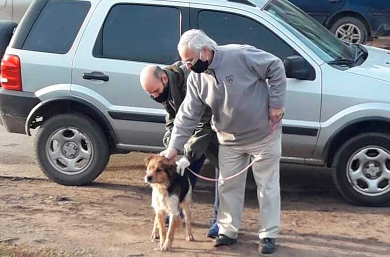 Balcarce programa una nueva jornada de vacunación antirrábica