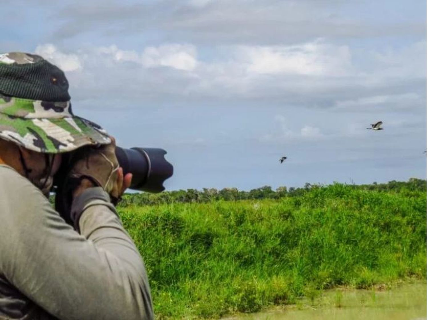 Invitan a participar de una charla sobre observación de aves