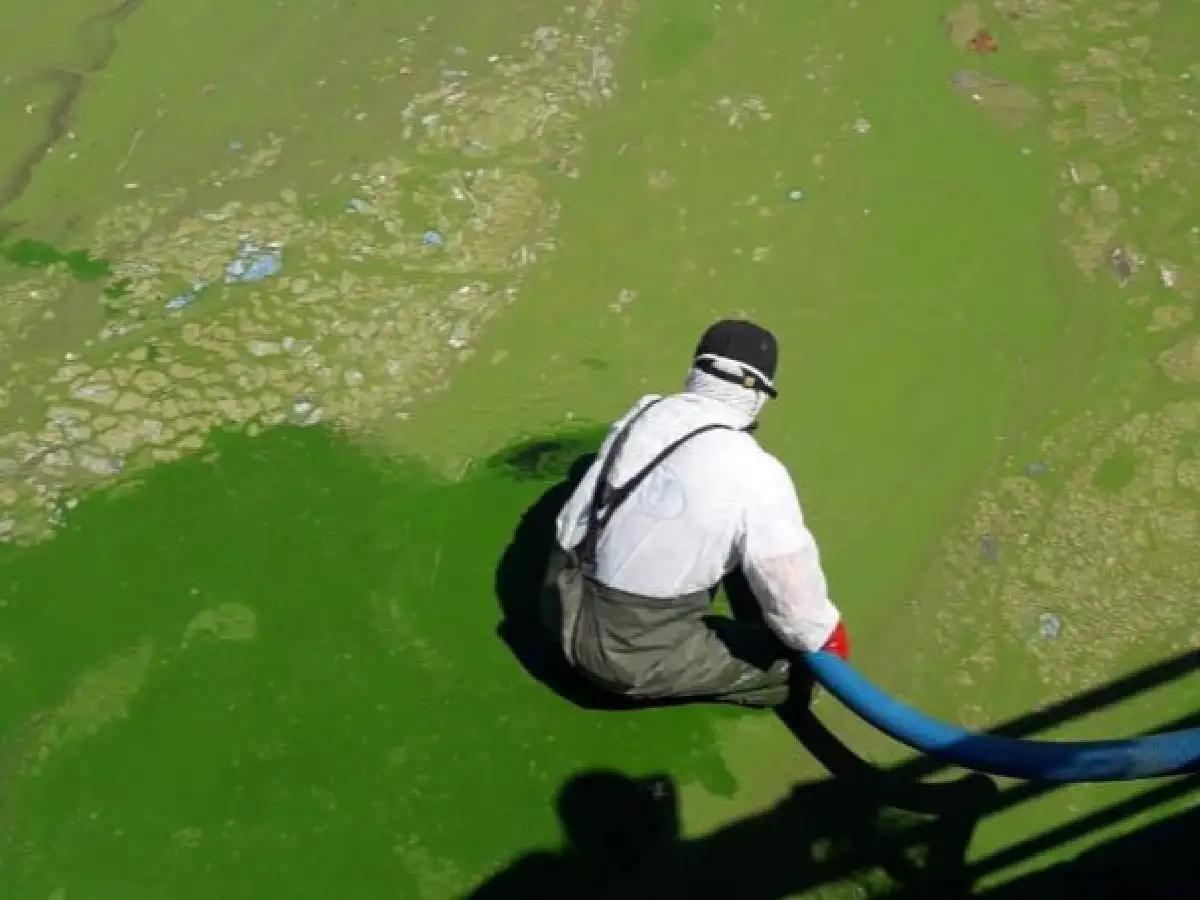 Las altas temperaturas agravan la contaminación en el lago San Roque