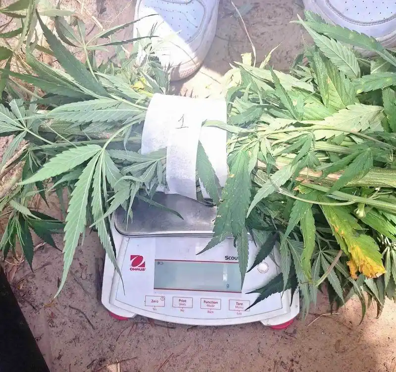 Desarticulan centro de venta de drogas en Clorinda