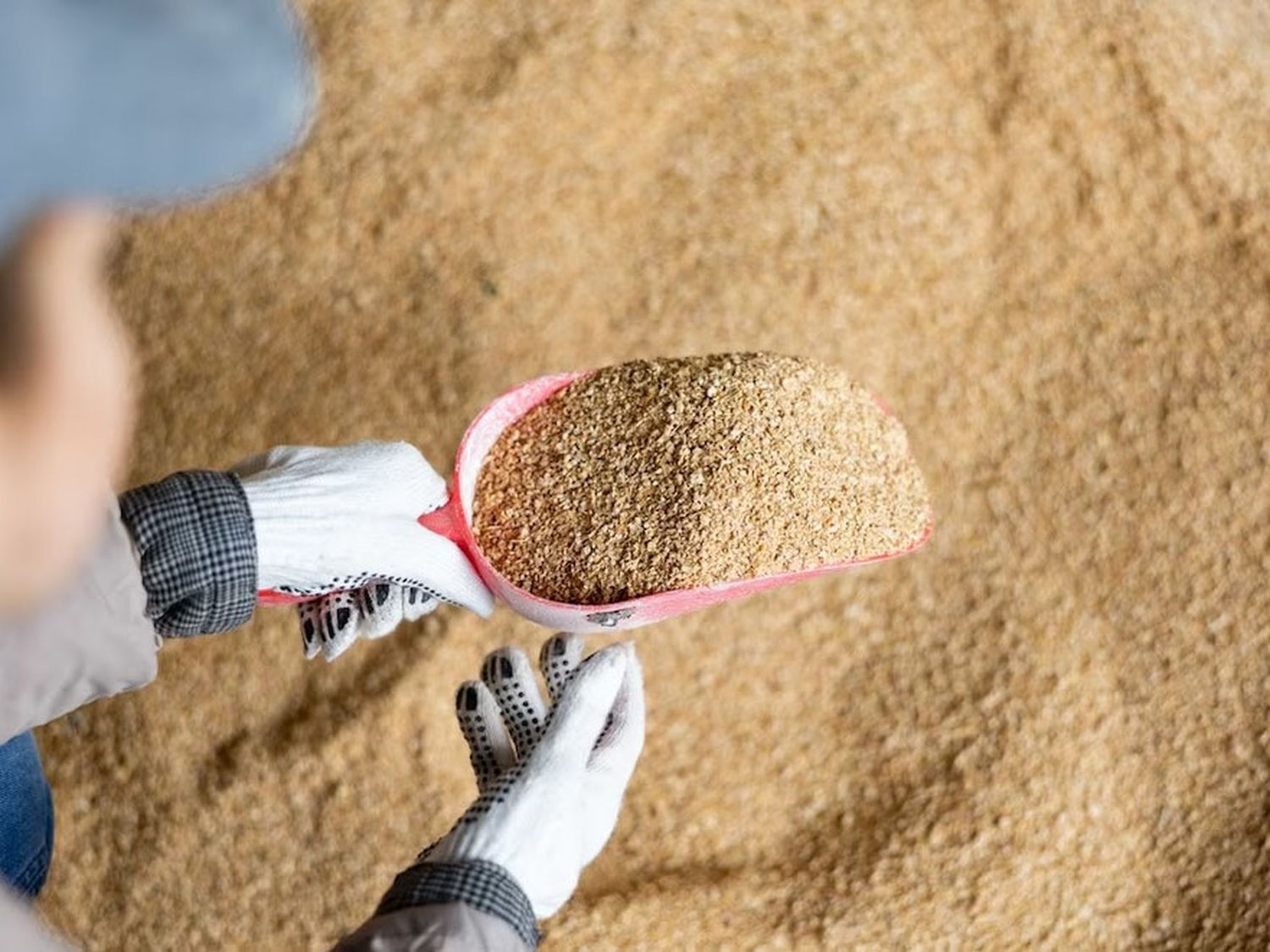 China compró harina de soja argentina por primera vez en la historia