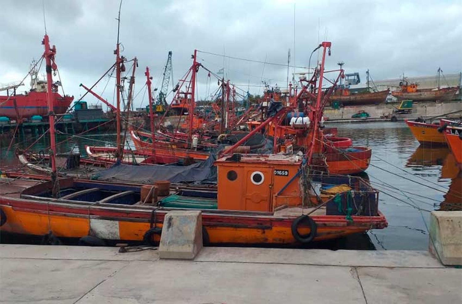 Frigoríficos destacaron la baja de retenciones a la pesca