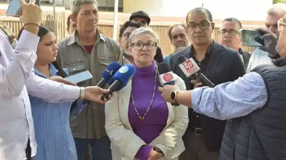 «SE EXTRALIMITARON»: abogada que redactó recurso contra el CNE denuncia violación a sus derechos