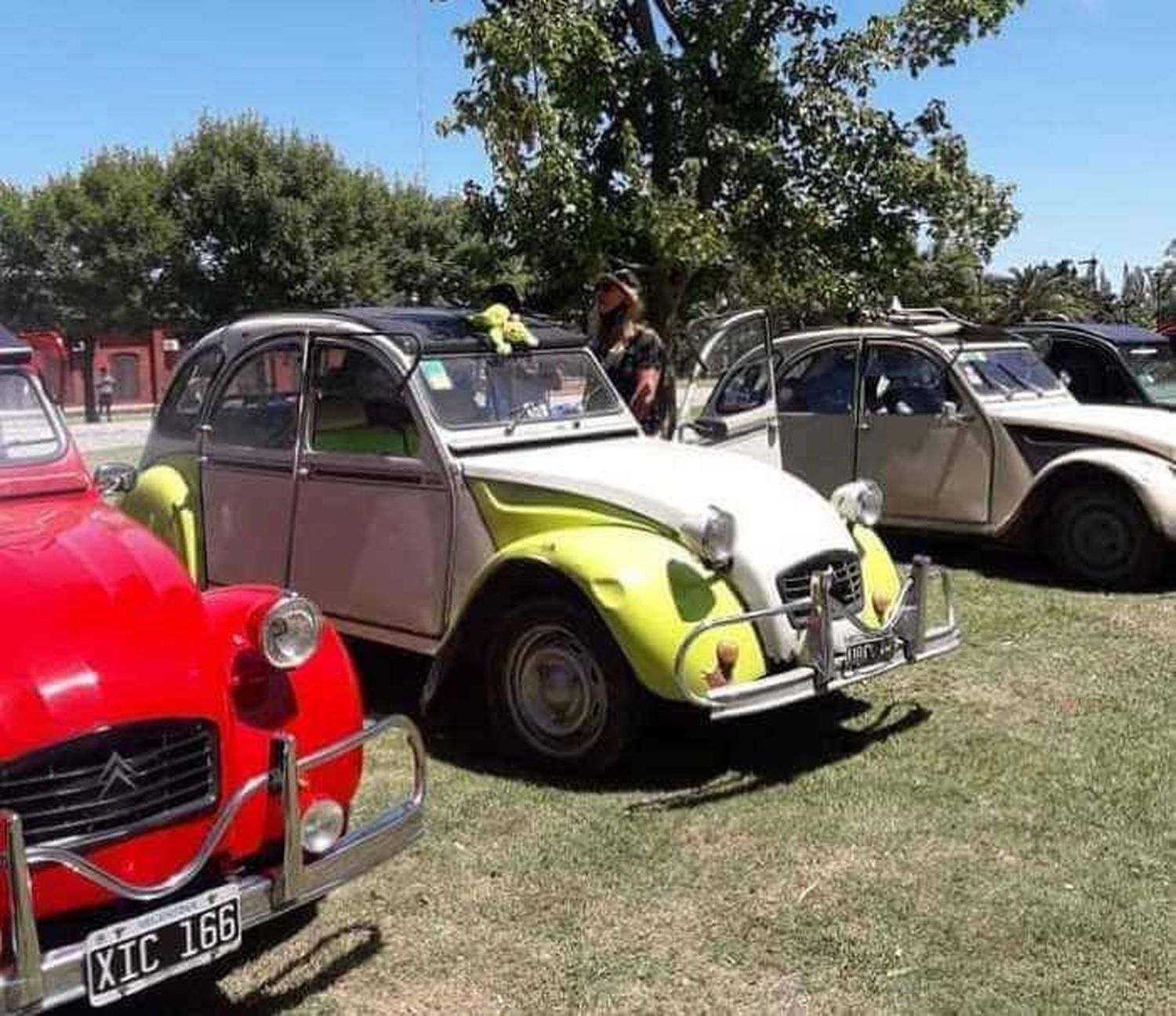 Encuentro de Citroneros