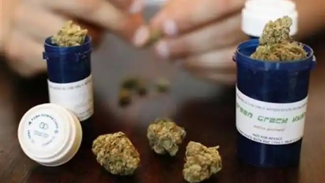 En Uruguay destacan el uso terapéutico de la marihuana 