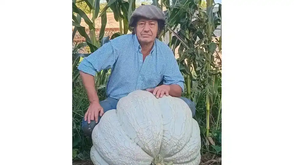 zapallo gigante - 2