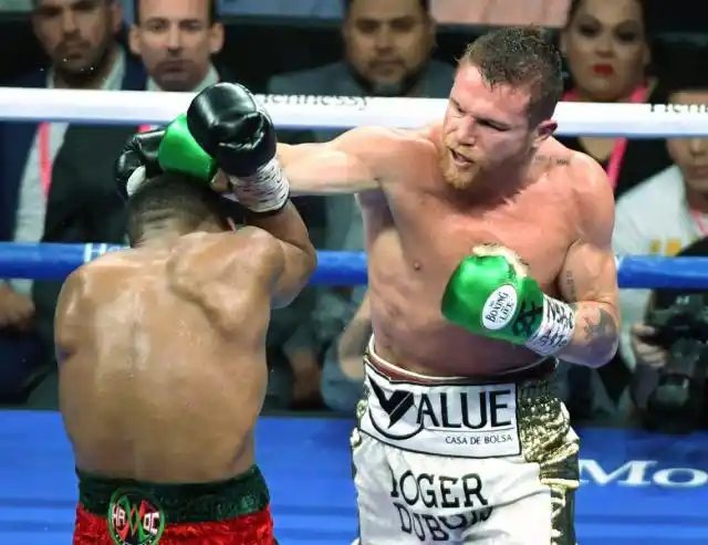 Canelo Álvarez, un león hervíboro
