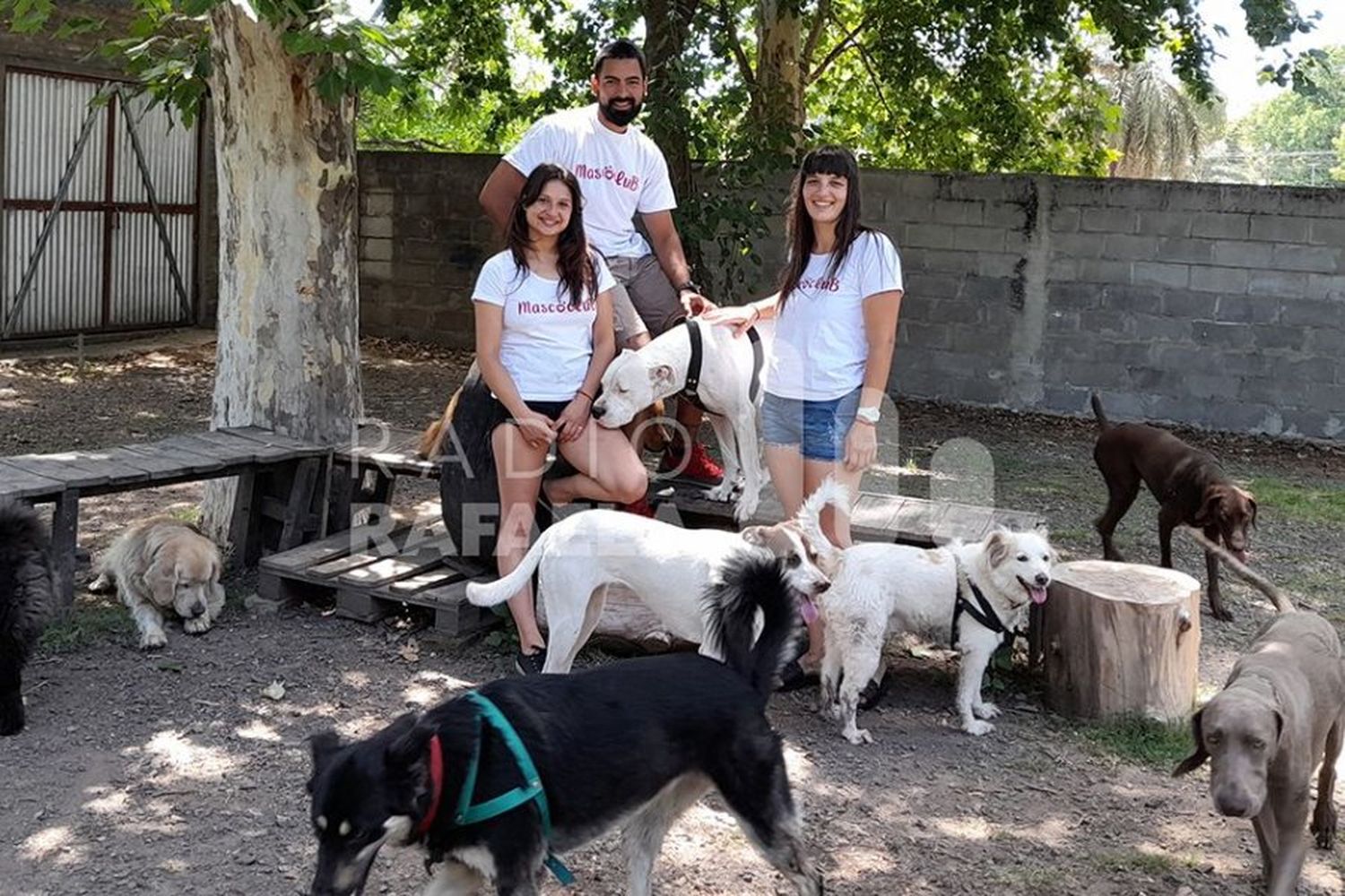 Fin de año y las vacaciones: ¿cómo cuidar a nuestras mascotas?