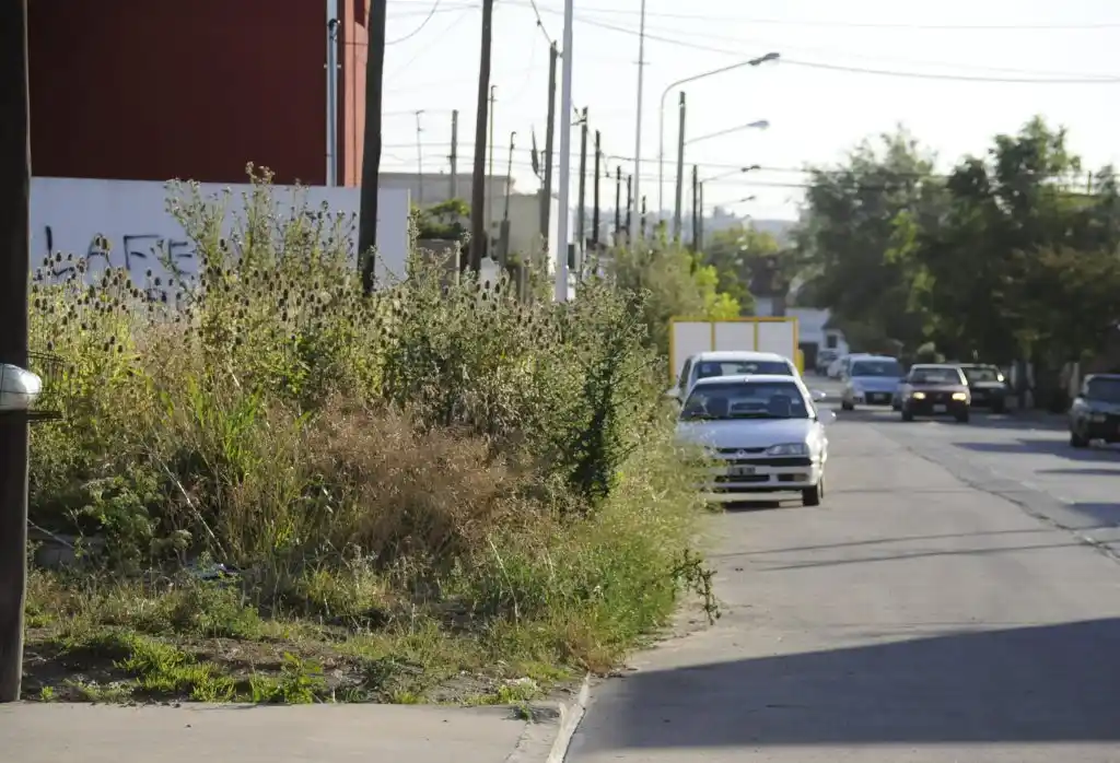 La Defensoría busca comprometer al ciudadano en el mantenimiento de terrenos baldíos 