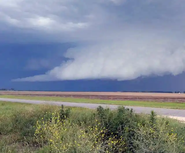 Se cierra un octubre con lluvias beneficiosas para el campo