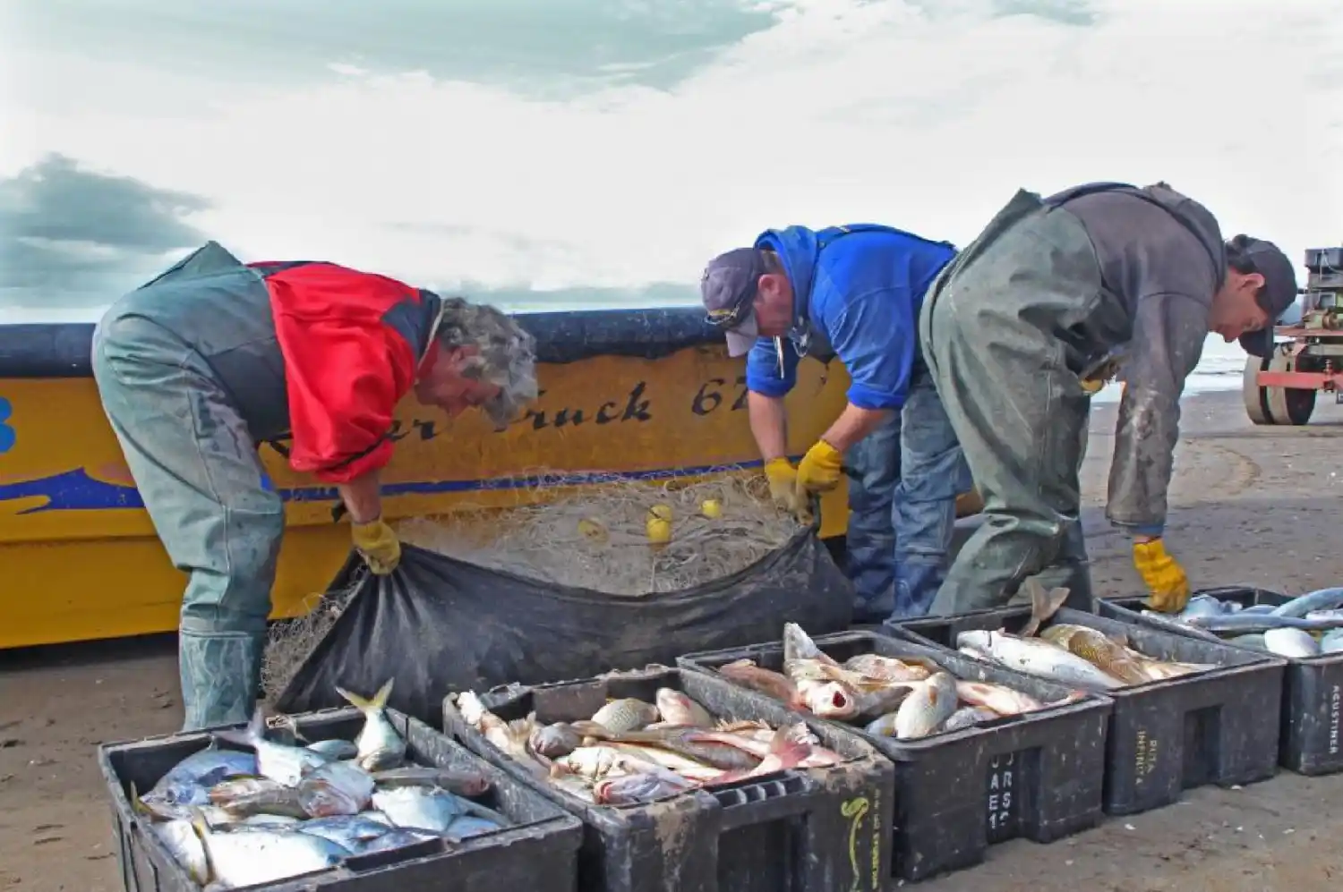 Dónde conseguir pescado fresco.