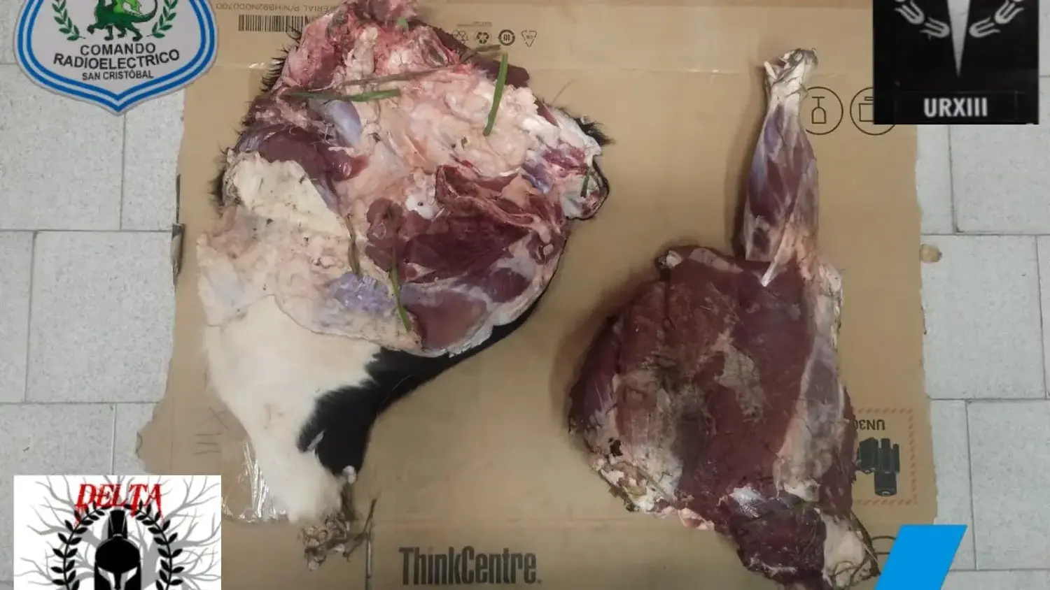 Detuvieron a un joven de 19 años por faenamiento ilegal de carne vacuna