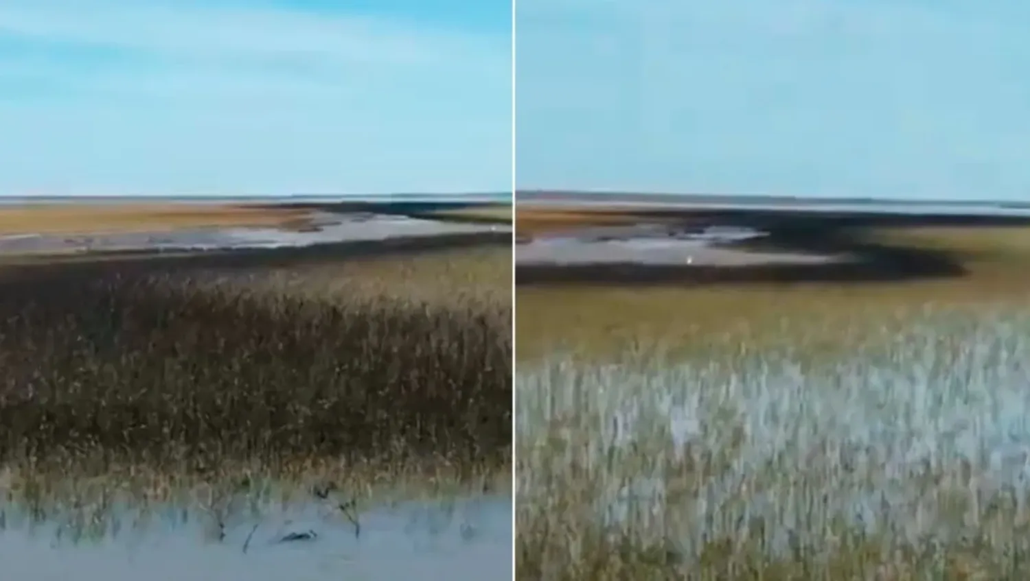 Manchas de petróleo en el estuario.
