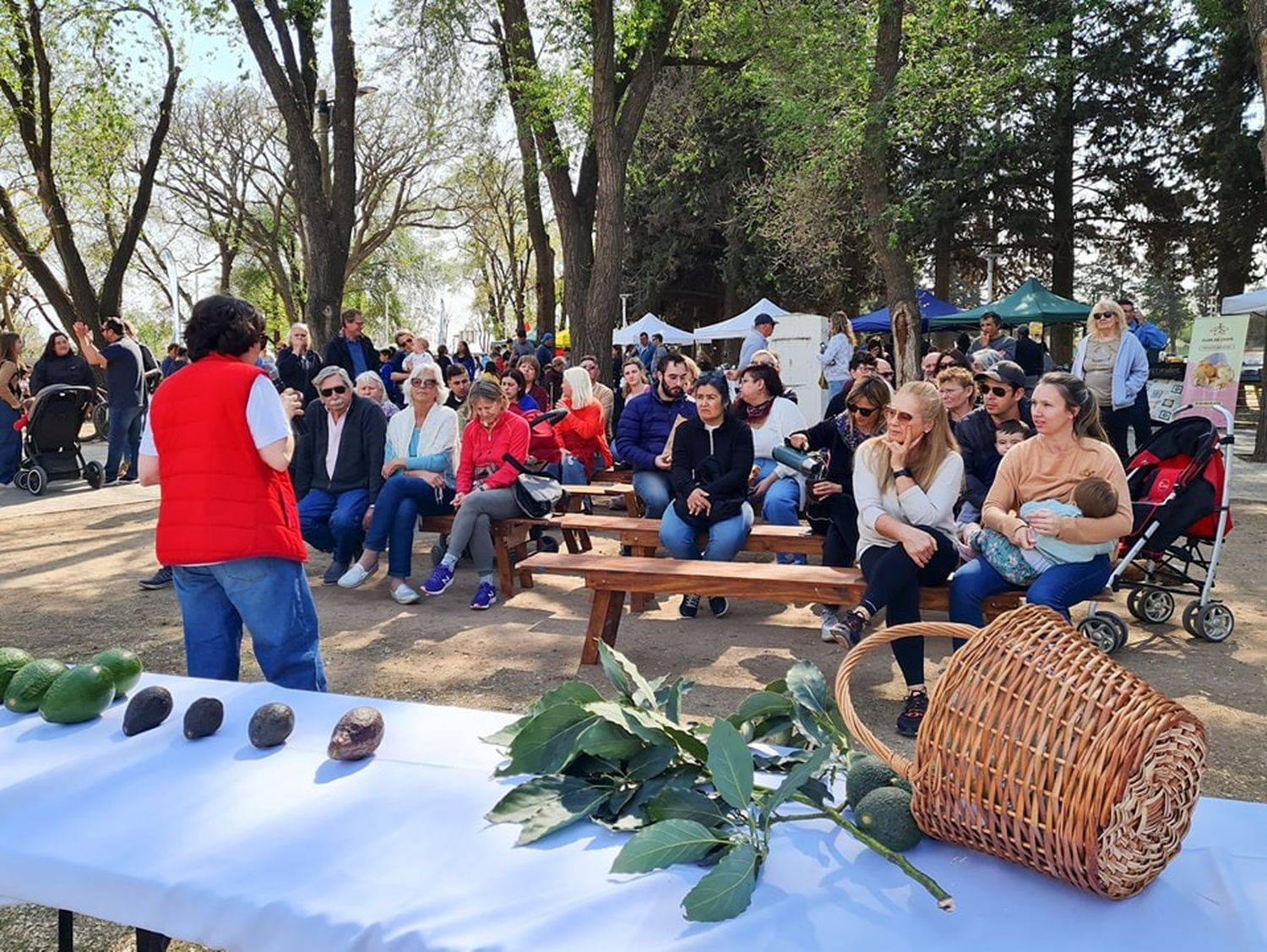 Los vecinos disfrutaron de un “Venite al Parque” en modo saludable y ambiental