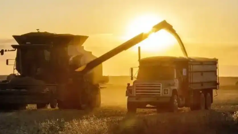 Alertan que la guerra en Medio Oriente sacude los mercados internacionales y el impacto llega al sector agropecuario