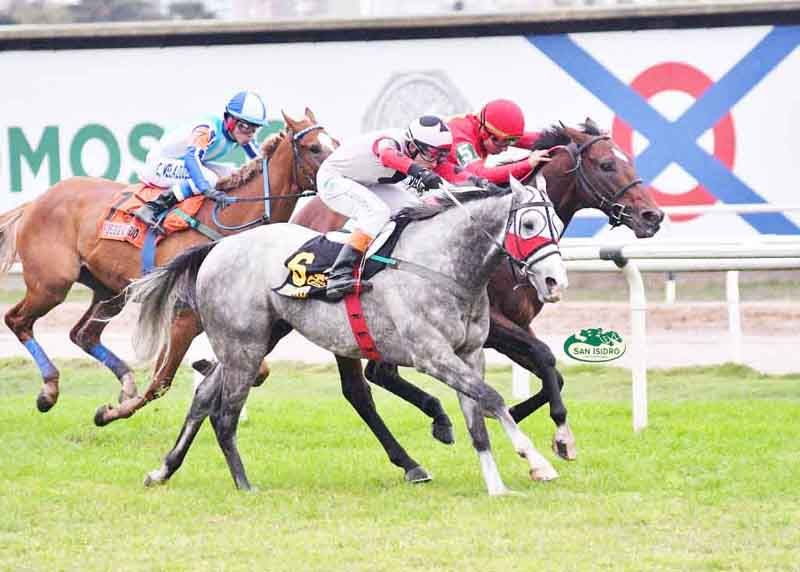 Miércoles 30: Actividad Hipódromo de San Isidro