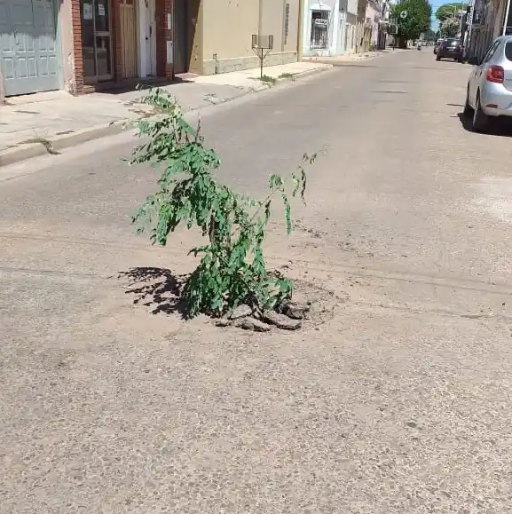 #Reclamo: “¿Esto es normal?”