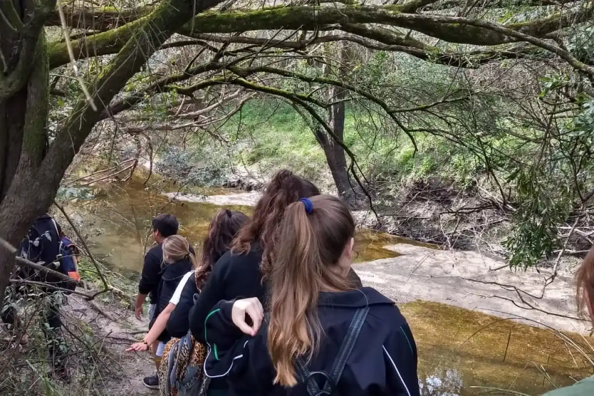 Mes del Ambiente: realizan actividades abiertas bajo el lema de “Una sola tierra”