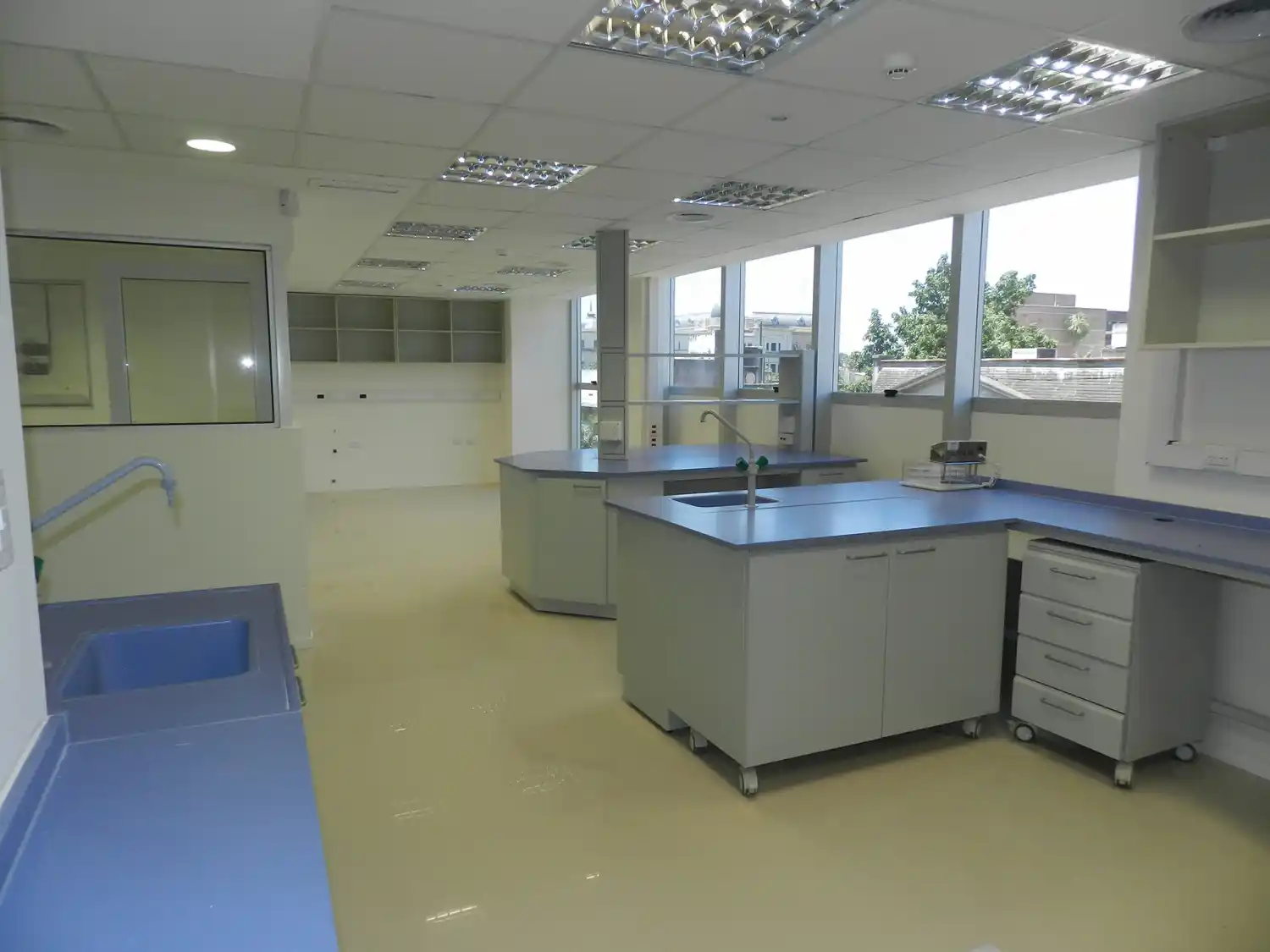 ALKEMY Diagnóstico: El Laboratorio modelo de la Región