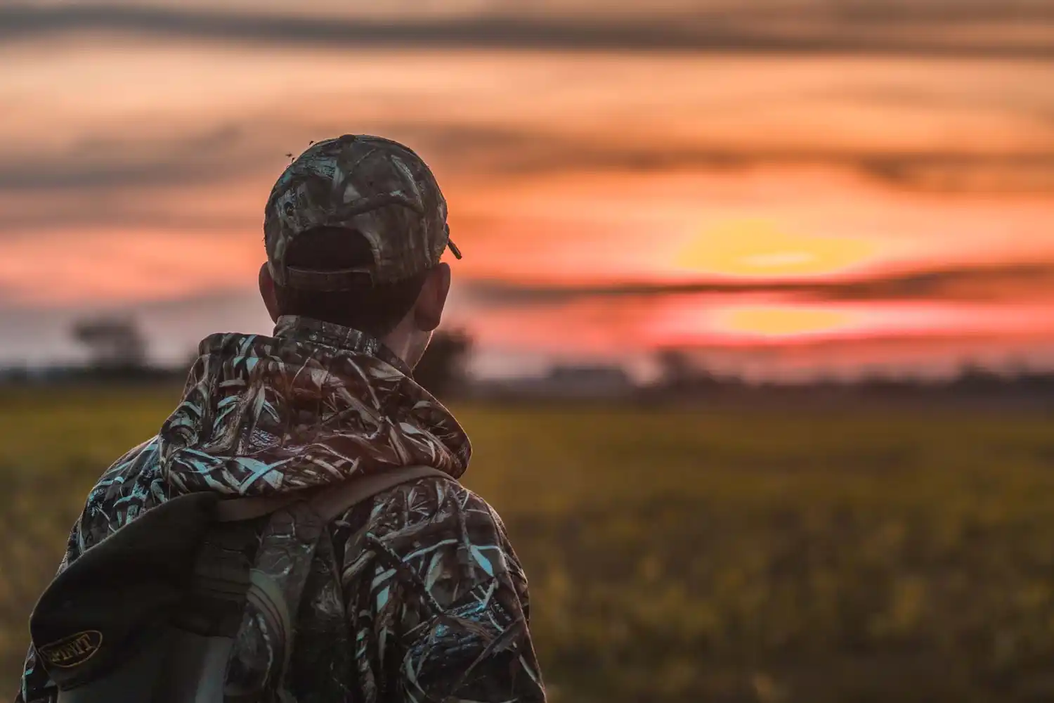 Preocupante crecimiento de la población de ciervos y cerdos asilvestrados