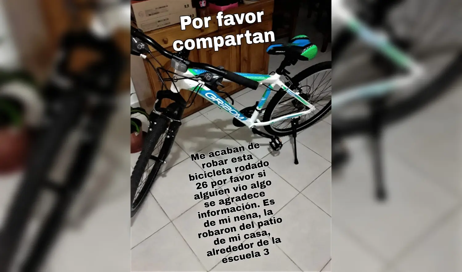 La abrieron el portón de la casa y le llevaron la bici de la hija
