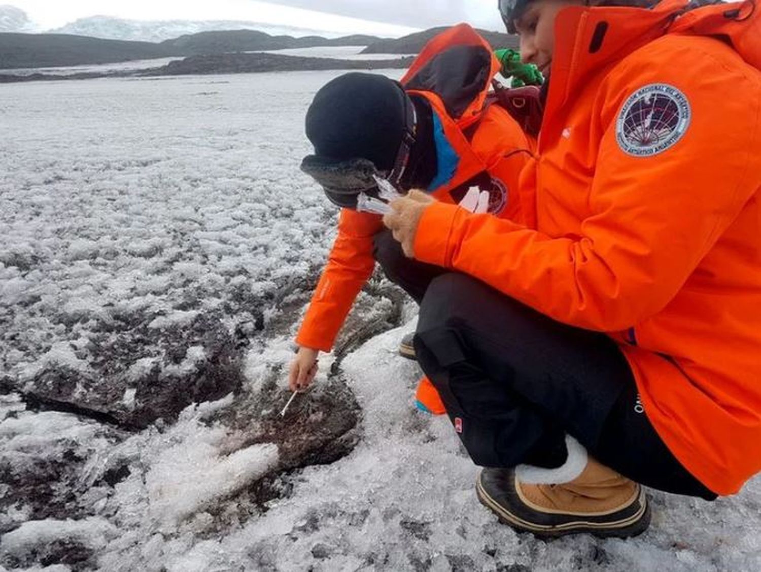 La capa de hielo marino de la Antártida está en su mínimo histórico