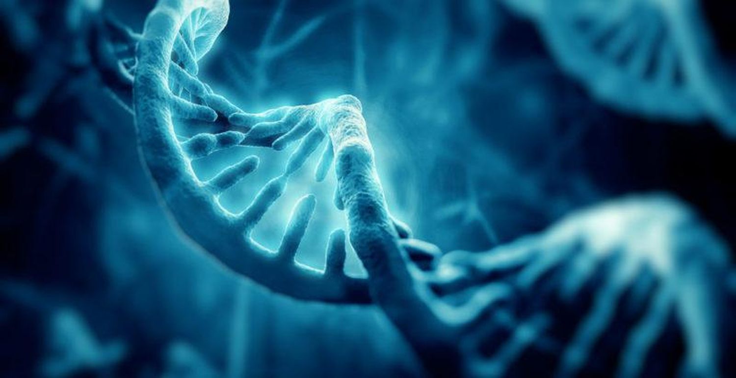 El derecho a la identidad: los desafíos científicos futuros