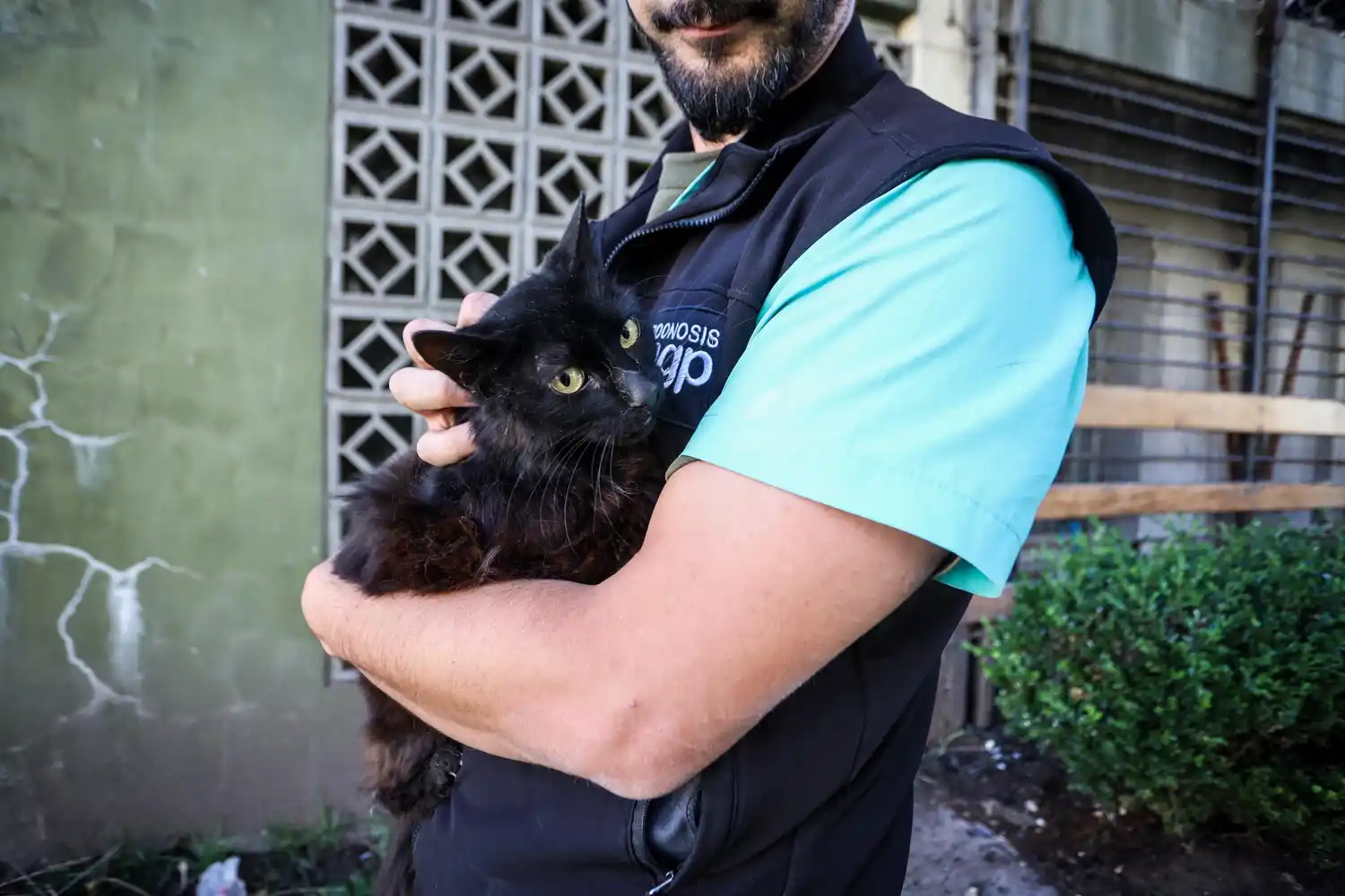 La fiscal Romina Díaz libró una orden de allanamiento y retiro de los animales por situación de maltrato y abandono animal.