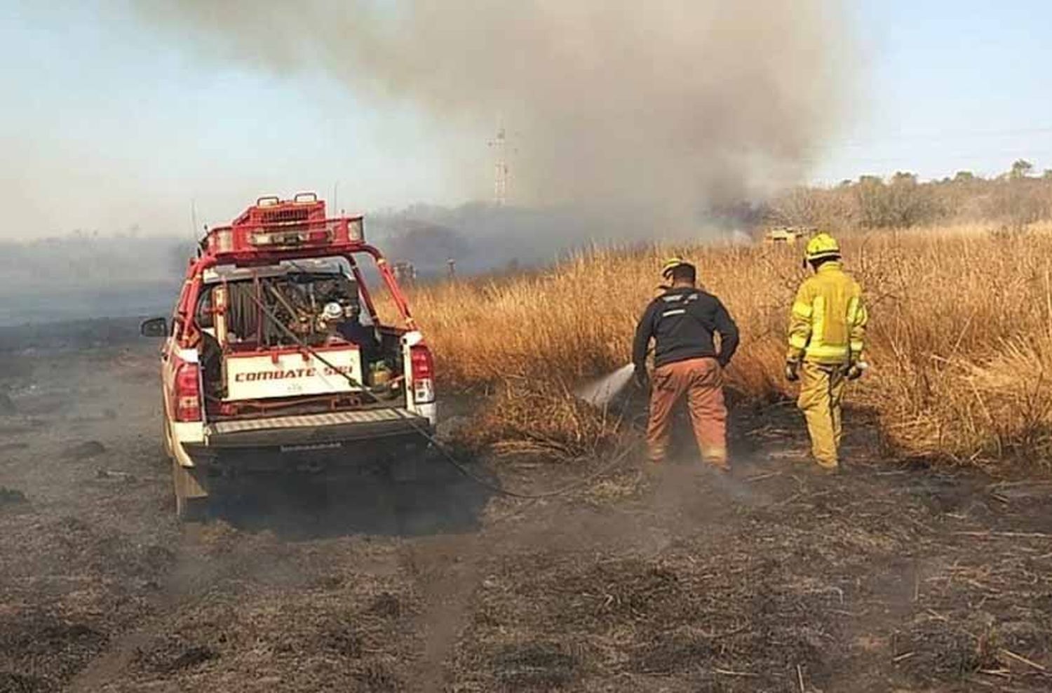 Incendios en Córdoba: “Muchos animales se han prendido fuego vivos”