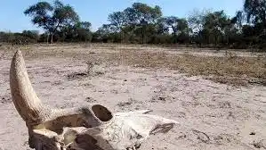 La emergencia agropecuaria se extendió por 60 días en la Provincia