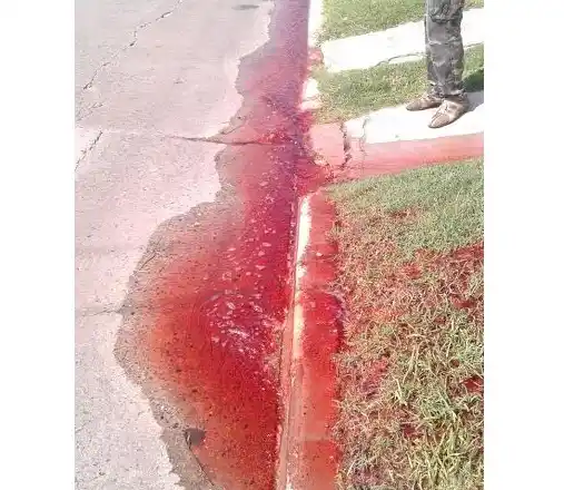 Quilmes: Alerta por un extraño líquido rojo que fluyó por los desagües de Primera Junta