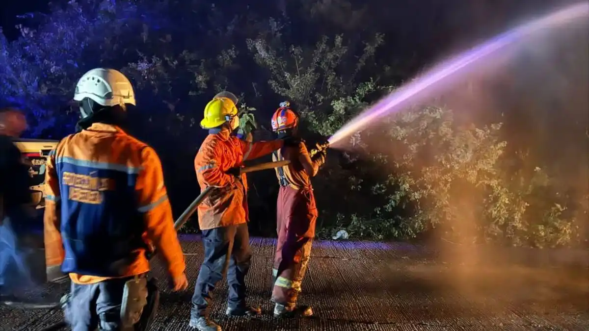 CONTROLADOS los incendios forestales registrados en el país: hay 16 detenidos  (+VIDEO)