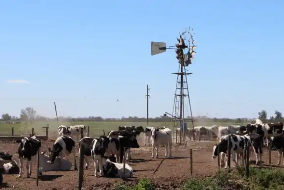 Impulso tambero: Santa Fe lidera las solicitudes de compensación para el sector