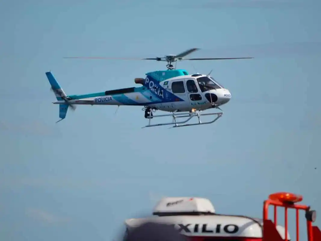 Dakota, la perra K9, clave en el hallazgo de un cuerpo en Bolívar