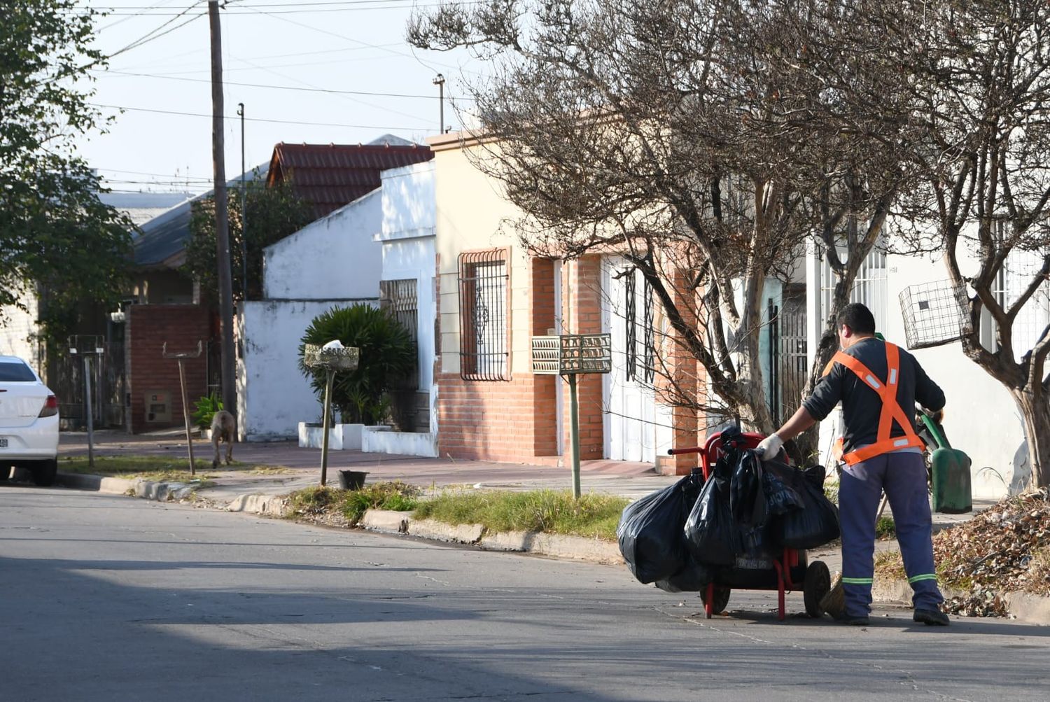 Feriado del 20 de Junio: cómo funcionarán los servicios municipales
