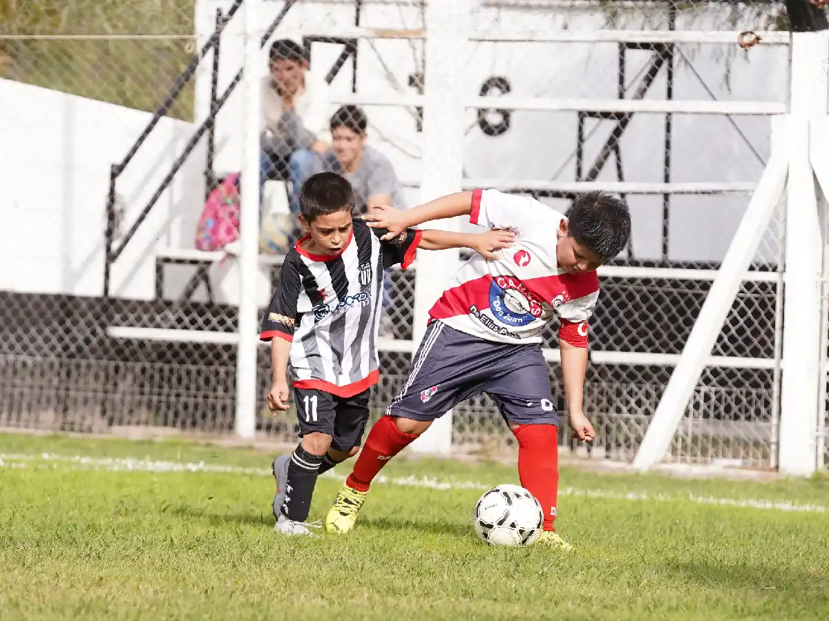 Sigue el torneo Apertura
