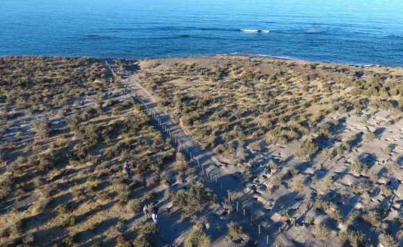 Masacre de Punta Tombo: Gómez pidió 4 años de cárcel para La Regina