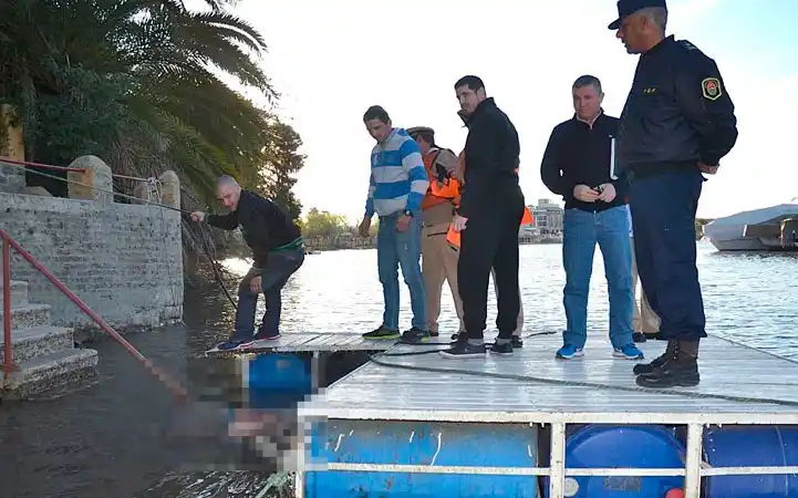 Caso Dolche: La Policía chequeará las cámaras de seguridad de costanera 