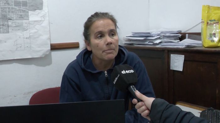 Escuela 7: cómo avanza el proceso para completar la obra de readecuación