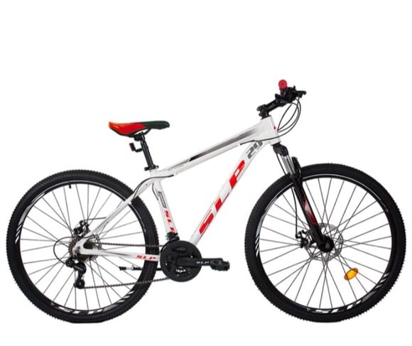 Le robaron la bici y la busca