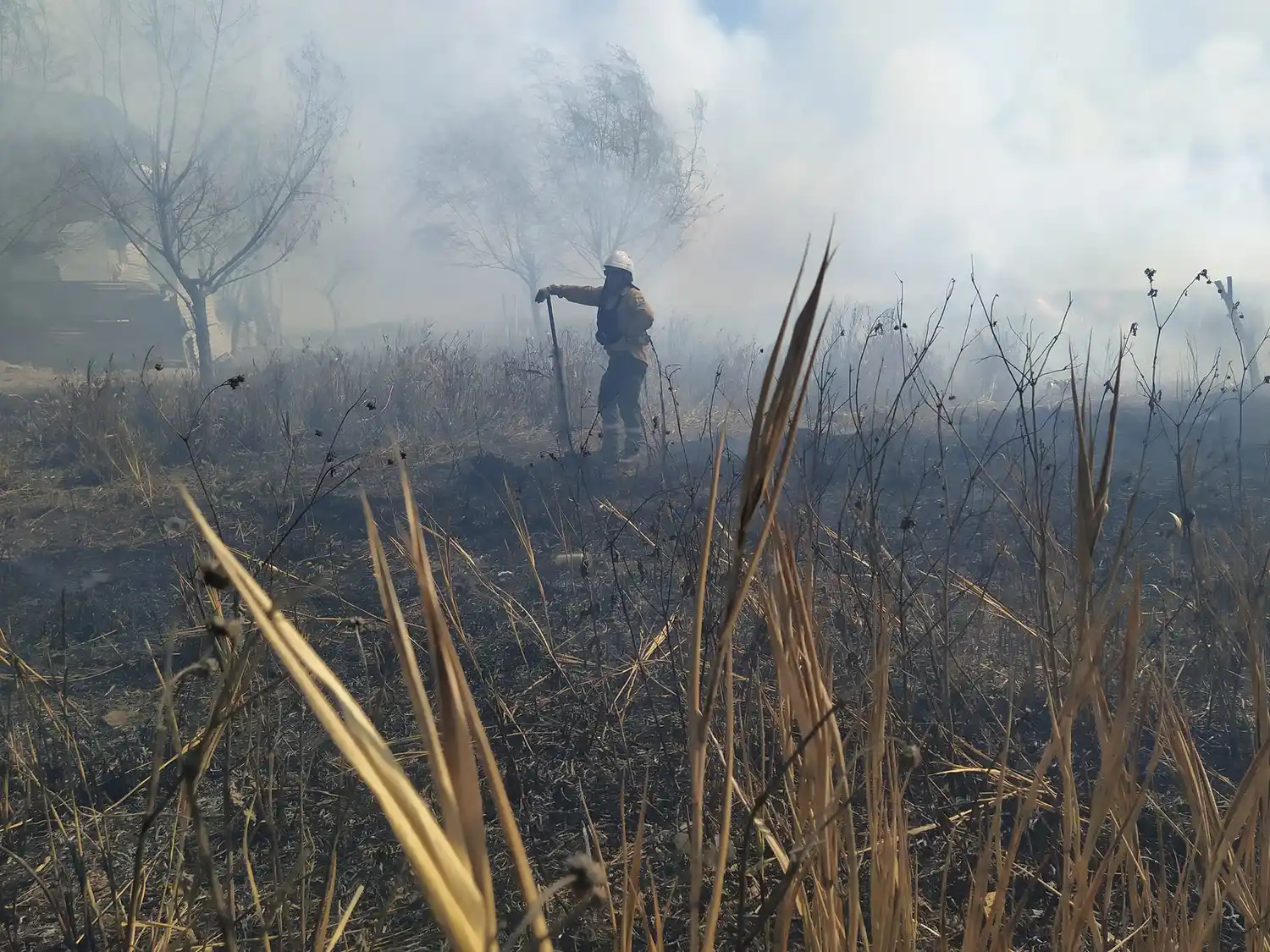 Detuvieron a tres personas acusadas de provocar incendios en el Delta