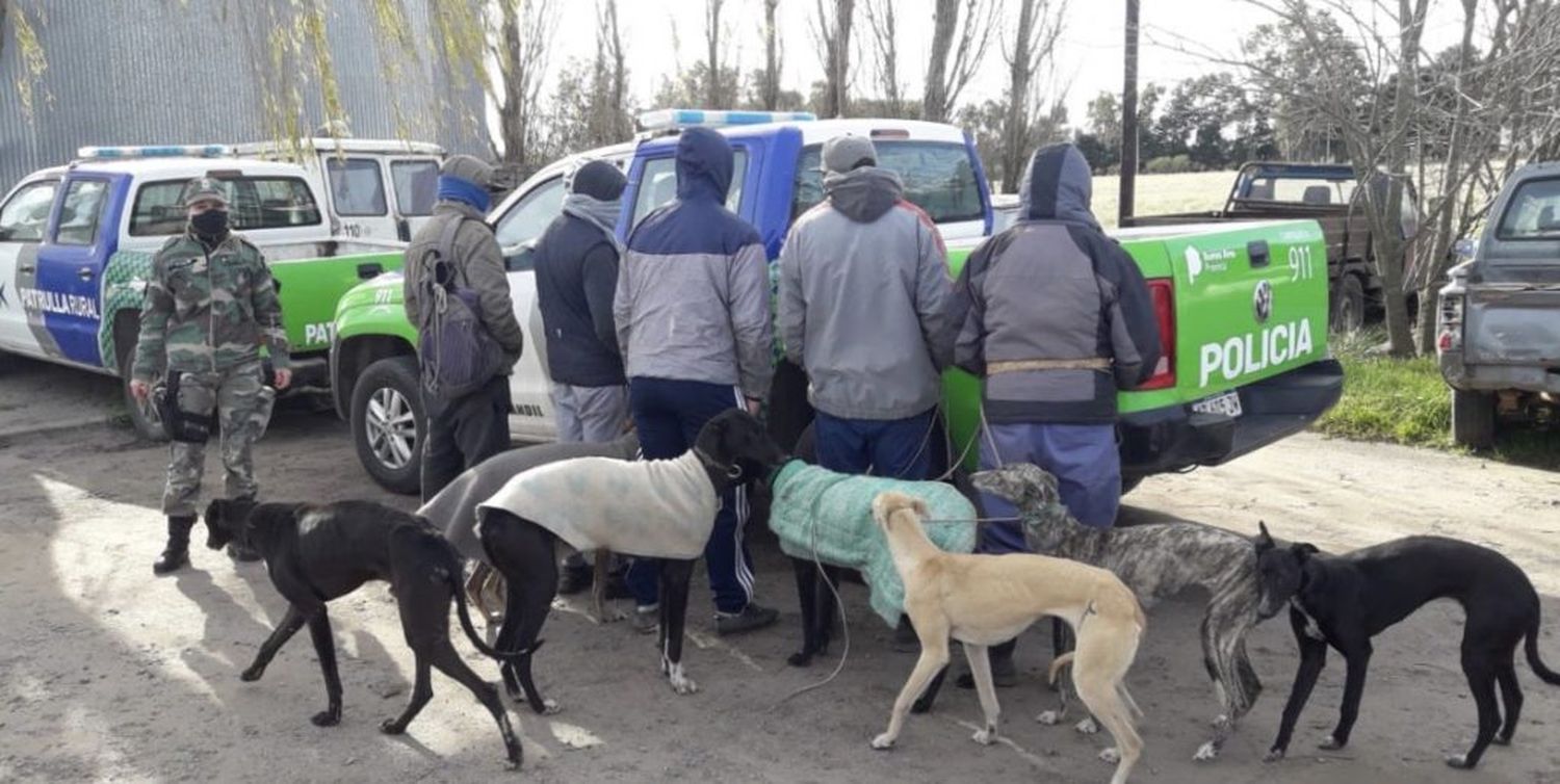 Aprehendieron en Tandil a cinco personas que cazaban con galgos