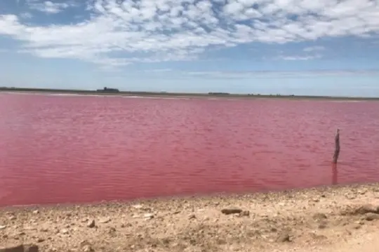La laguna de Darregueira se tiñó de rojo y el fenómeno sorprendió a los vecinos