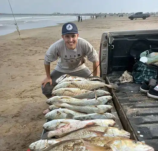 Cientos de corvinas aparecieron en la costa en los últimos días