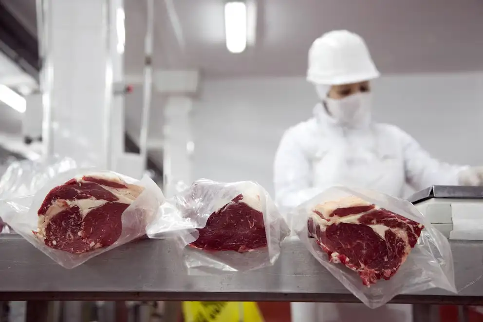 carne - 4