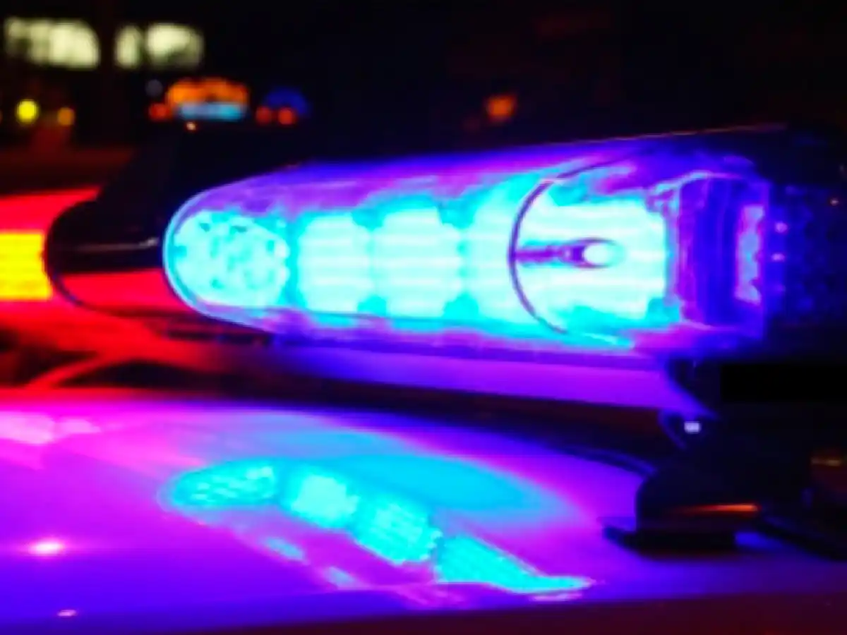  Quedaron detenidos tras robar en un auto estacionado en avenida Cervantes 