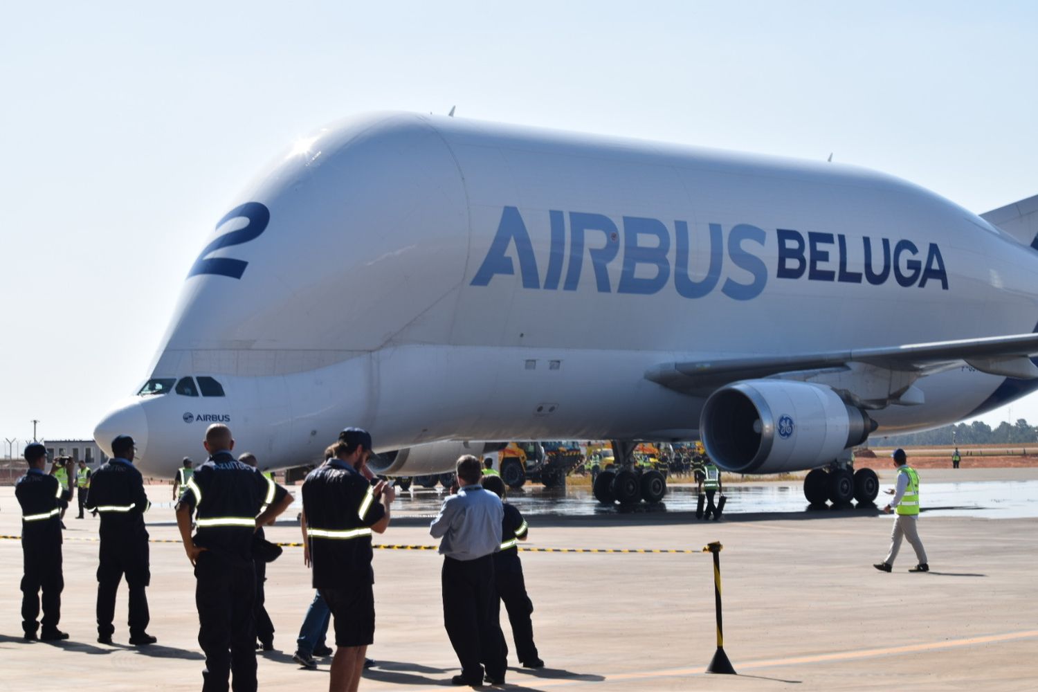 Un operador de carga busca volar con los Airbus Beluga en el segmento que dejó el Antonov An-225