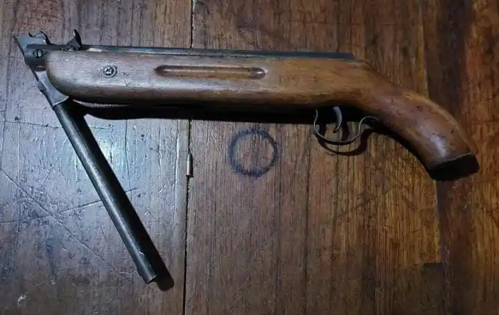 FLORENCIA: "LOS PUMAS" ATRAPARON A UN HOMBRE Y SECUESTRARON PRESUNTO MATERIAL ESTUPEFACIENTE, UN ARMA DE FUEGO Y DINERO - 1