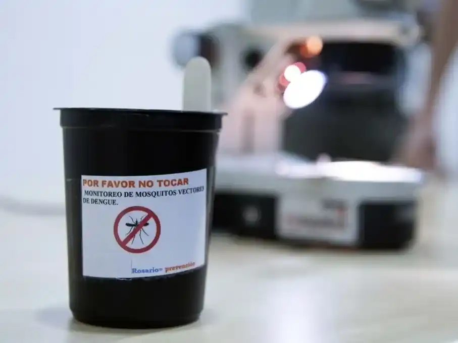 La reducción en la cantidad de casos se atribuye a las intensas campañas de prevención y concientización llevadas a cabo en la ciudad. Foto: Archivo Mirador.