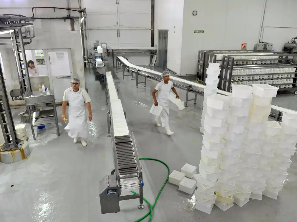 De Paraná a San Francisco:  la Pyme láctea que crece afuera de la ciudad  